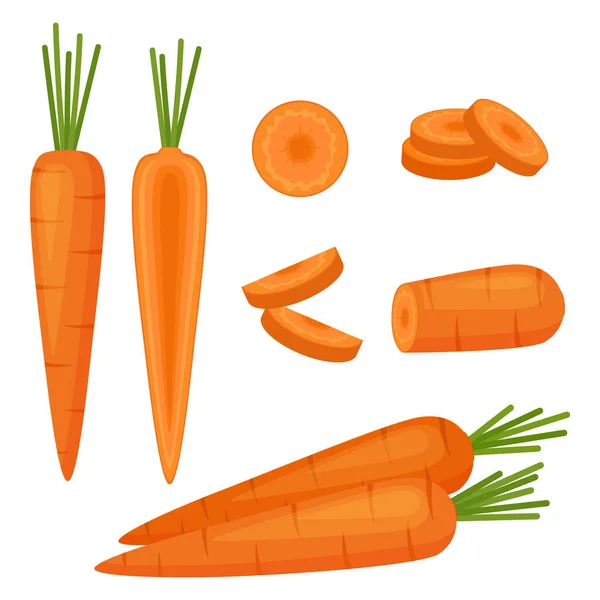 Carottes Légumes Entiers Demi Tranches Illustration Vectorielle — Image vectorielle