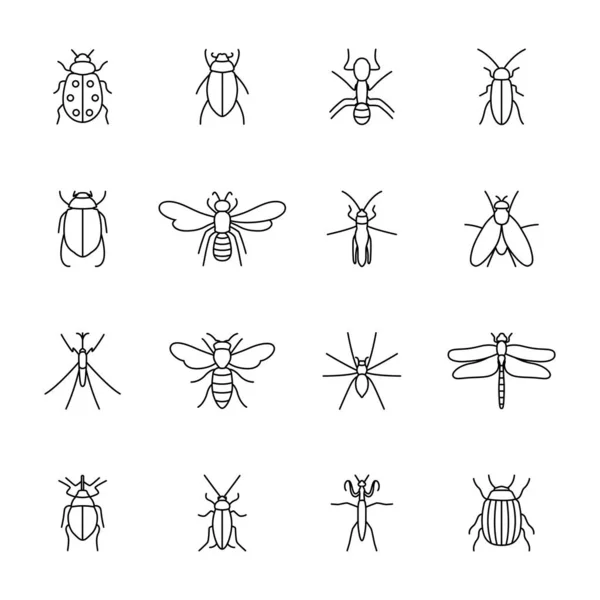 Set Von Insektensymbolen Vektorillustration — Stockvektor