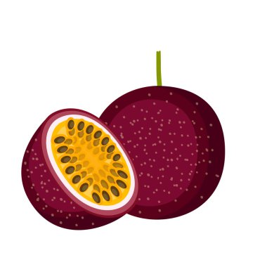 Tutku meyvesi, tam meyve ve yarısı, vektör çizimi