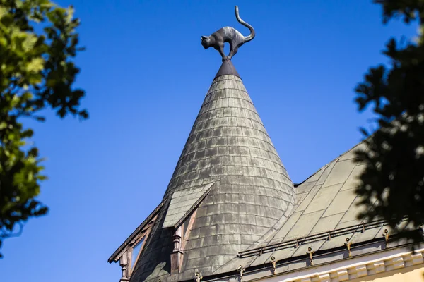 Riga, Letonya kara kedi evi
