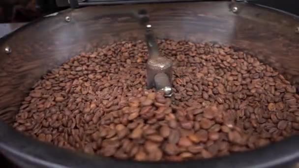 The Roasted Coffee Machine — Stock Video