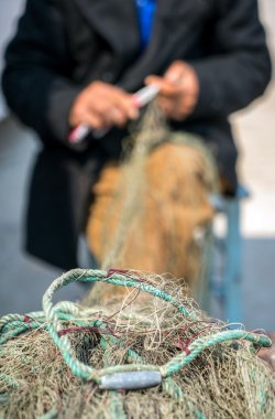 File Balık tutma satırları