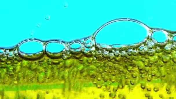 Víz-olaj buborékok háttér textúra — Stock videók