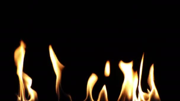 燃烧的火背景纹理 — 图库视频影像