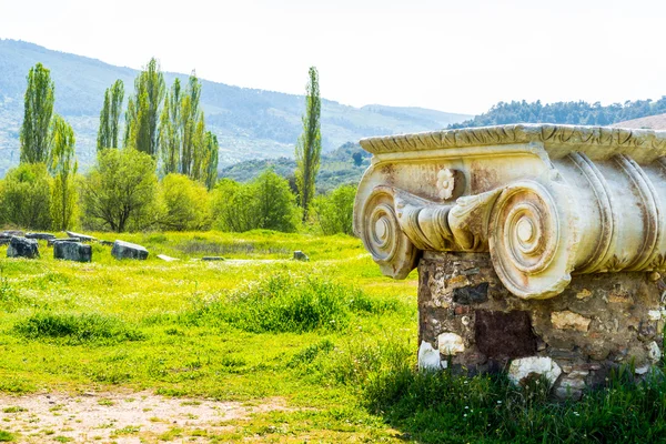 Tempio greco di Artemide vicino a Efeso e Sardi — Foto Stock