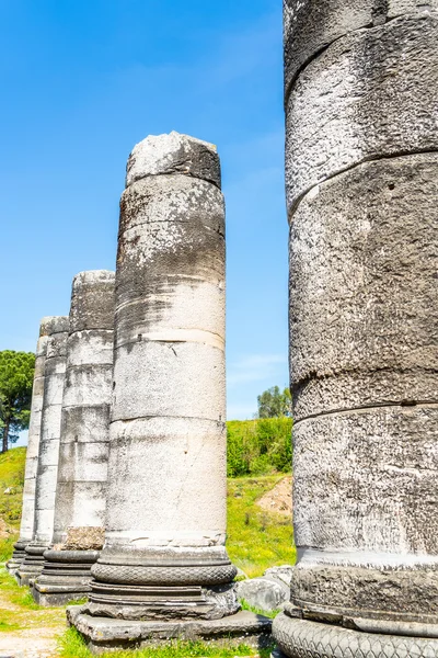 Tempio greco di Artemide vicino a Efeso e Sardi — Foto Stock