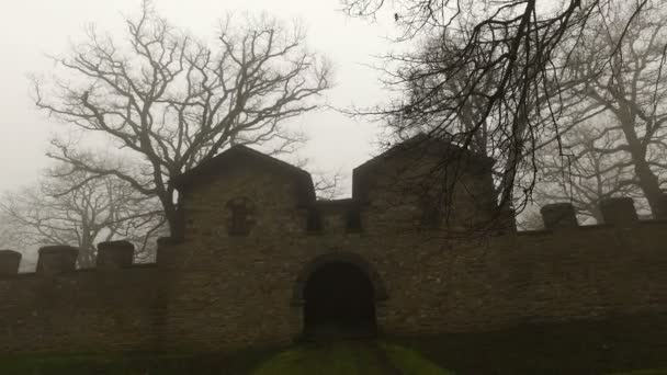 Oude historische oude kasteelmuren en bos in mistige mistige dag — Stockvideo