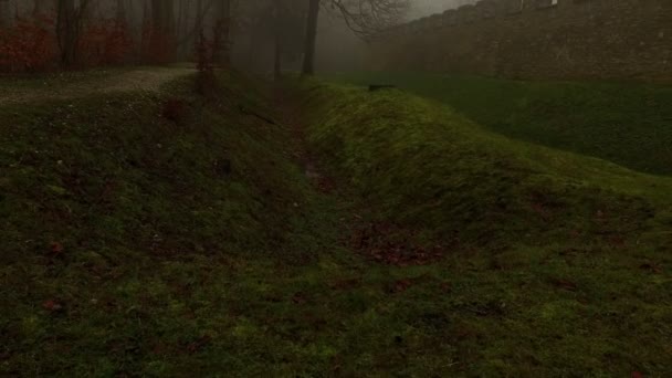 Alte historische Burgmauern und Wald im nebligen Nebel — Stockvideo