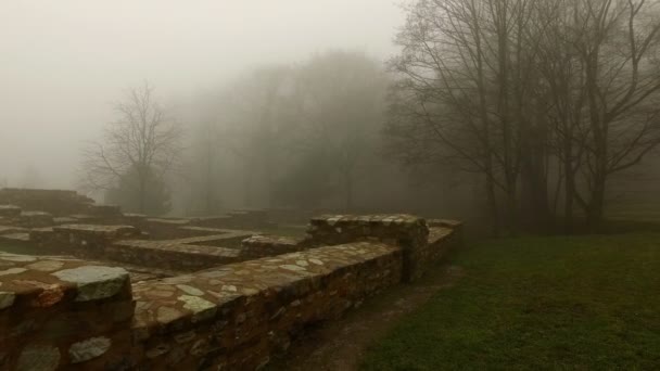 Παλιά Ιστορική Αρχαία Τείχη Κάστρο και Δάσος σε ομιχλώδη ομίχλη Ημέρα — Αρχείο Βίντεο