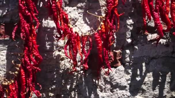 Poivrons rouges au piment sur le mur — Video