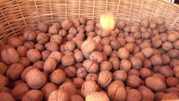 Nuez cayendo en una cesta de madera — Vídeos de Stock