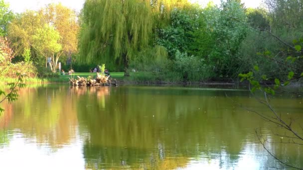 Il lago nel parco — Video Stock