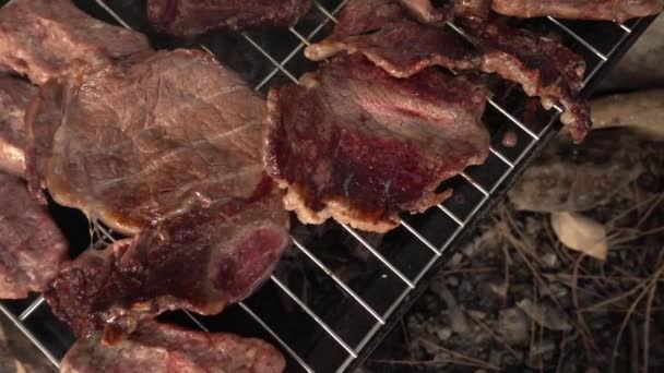 Vlees op de barbecue — Stockvideo