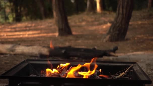バーベキュー炭の火 — ストック動画