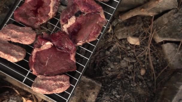 Мясо на барбекю — стоковое видео