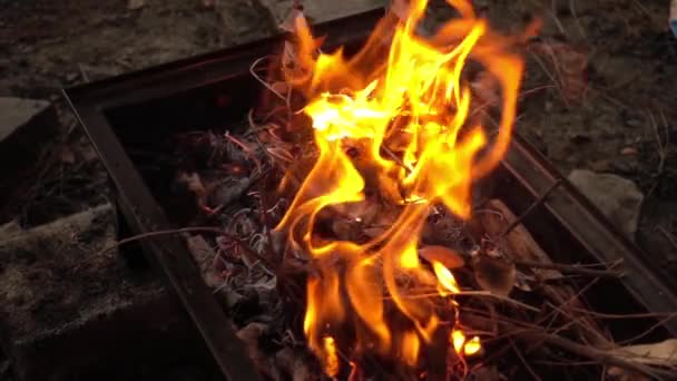 Barbacoa carbón fuego — Vídeo de stock