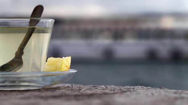 林登茶在海边 — 图库视频影像