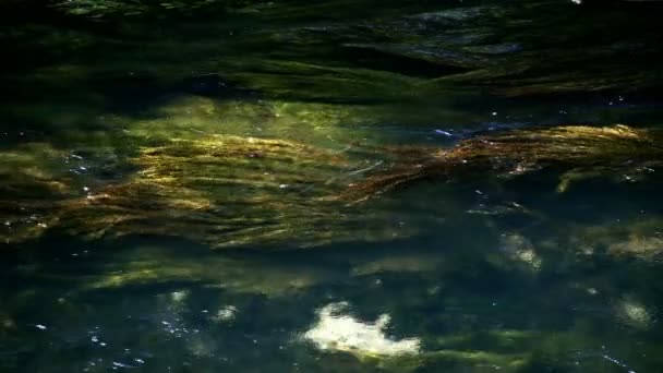 Водопад Природе — стоковое видео