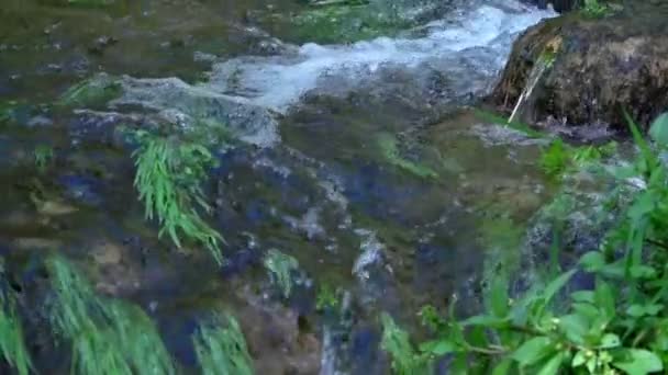 Cachoeira Natureza Selvagem — Vídeo de Stock