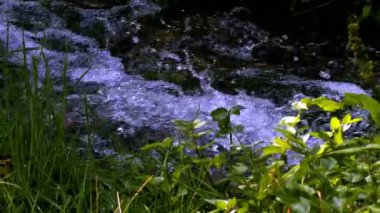 Vahşi Doğada Şelale  