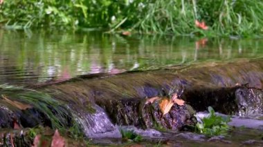 Vahşi Doğada Şelale  