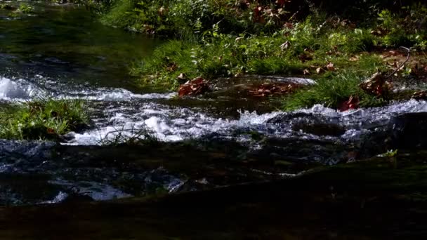 Vattenfall Vild Natur — Stockvideo