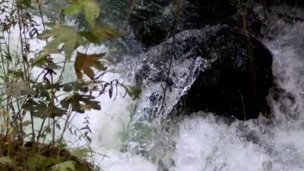 Wasserfall Wilder Natur — Stockvideo