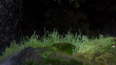 Vahşi Doğada Şelale  