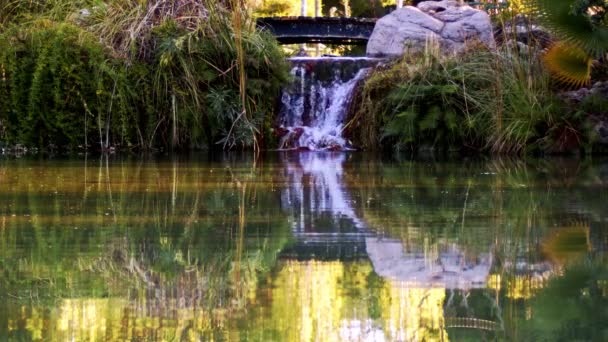 Καταρράκτης Στην Άγρια Φύση — Αρχείο Βίντεο