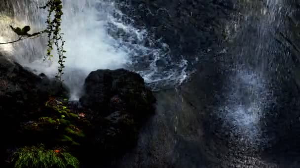 Водопад Природе — стоковое видео