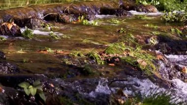 Vahşi Doğada Şelale  