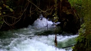 Vahşi Doğada Şelale  