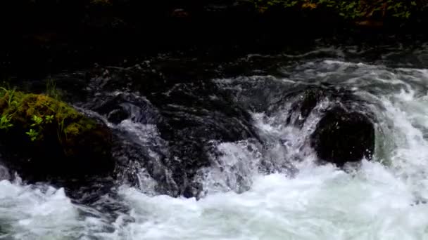 Wasserfall Wilder Natur — Stockvideo