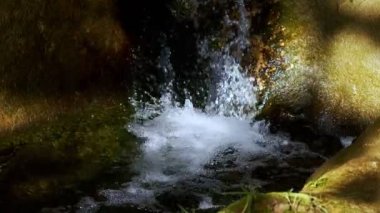 Vahşi Doğada Şelale  