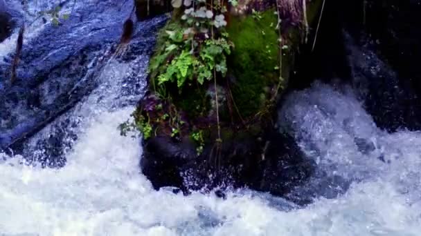 Водопад Природе — стоковое видео
