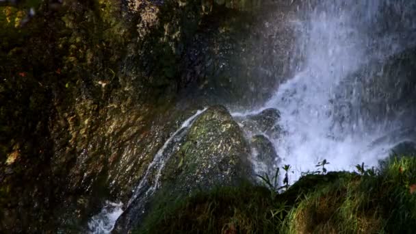 Cascata Nella Natura Selvaggia — Video Stock