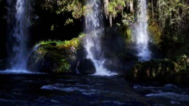 Vahşi Doğada Şelale  