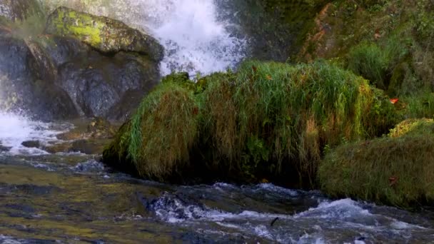 Cascada Naturaleza Salvaje — Vídeos de Stock