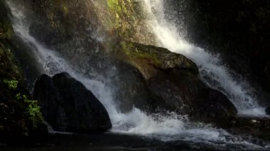 Vahşi Doğada Şelale  