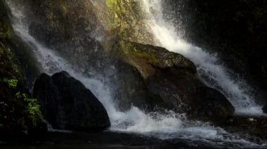 Vahşi Doğada Şelale  