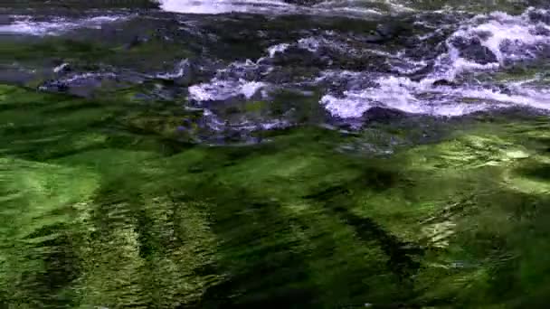Cachoeira Natureza Selvagem — Vídeo de Stock