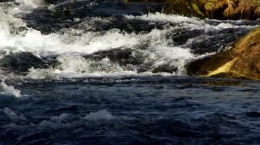 Vahşi Doğada Şelale  