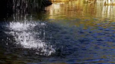 Gölde Su Damlaları  