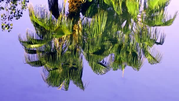 Reflexión Sobre Agua Del Lago — Vídeo de stock