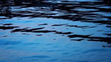 Saf Deniz Suyu Yüzeyi