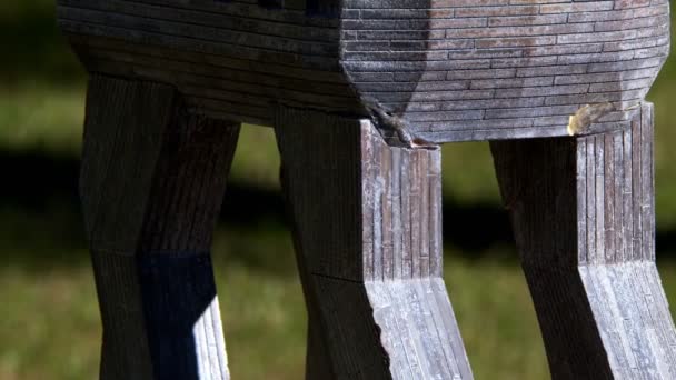 Caballo Troya Histórico Madera Turquía — Vídeos de Stock