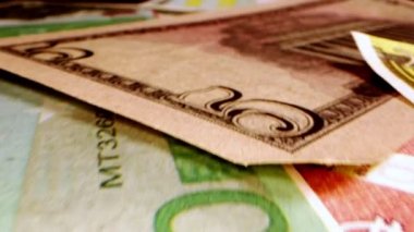 Euro ve Dolar Yakın plan