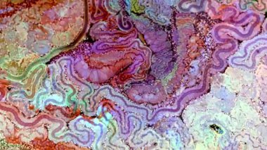 Soyut Renkli Mürekkep Yayma Sanatı 