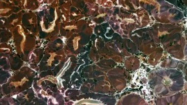 Soyut Renkli Mürekkep Yayma Sanatı