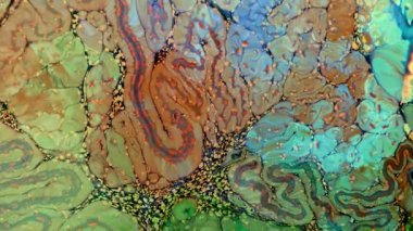 Soyut Renkli Mürekkep Yayma Sanatı